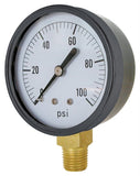 VALLEY INDUSTRIES CS-1124DAB100 Pressure Gauge