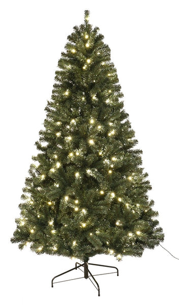 Santas Forest 61970 Sheared Tree, 7 ft H, Noble Fir Family, 110 V, LED Bulb, Clear Light