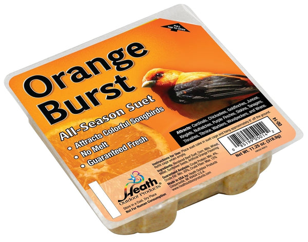 HEATH DD-14 Suet Cake, All-Season, Orange Flavor, 11.25 oz