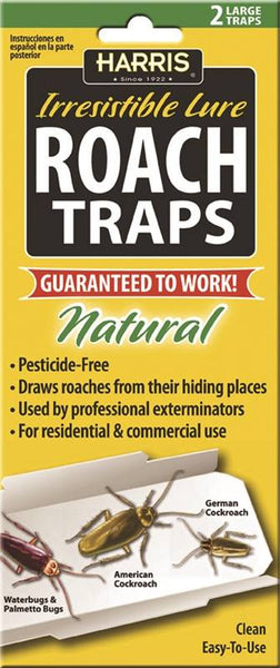 HARRIS RTRP Roach Trap, Solid