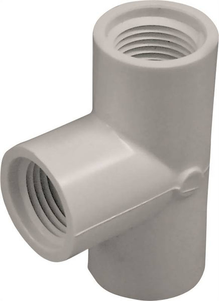 LASCO 405005BC Pipe Tee, 1/2 in, FPT, PVC, White, SCH 40 Schedule