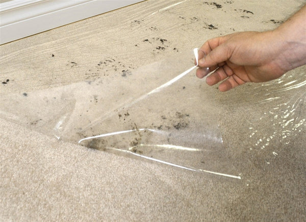 SURFACE SHIELDS CS24200L Carpet Shield, 200 ft L, 24 in W, 2.5 mil Thick, Polyethylene, Clear