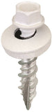 Acorn International SW-MW1BW250 Screw, #9 Thread, High-Low, Twin Lead Thread, Hex Drive, Self-Tapping, Type 17 Point