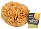 Armaly ProPlus 81000 Sea Sponge, 6 in L, 5 in W, Natural Wool