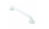 Moen R8924W Grab Bar, 500 lb, Stainless Steel, Glacier, Screw Mounting