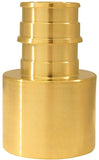 Apollo Valves ExpansionPEX Series EPXFS341 Pipe Adapter, 3/4 x 1 in, Barb x Female Sweat, Brass, 200 psi Pressure