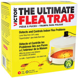 TERRO T230 Flea Trap, Sweet