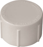 LASCO 448010BC Pipe Cap, 1 in, FPT, PVC, White, SCH 40 Schedule