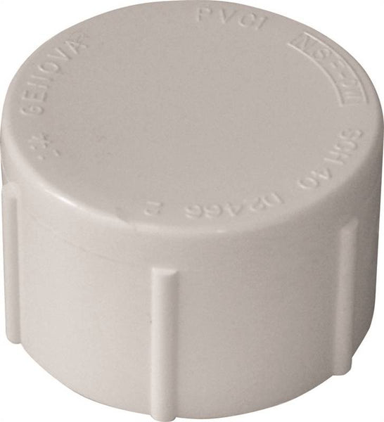 LASCO 448010BC Pipe Cap, 1 in, FPT, PVC, White, SCH 40 Schedule