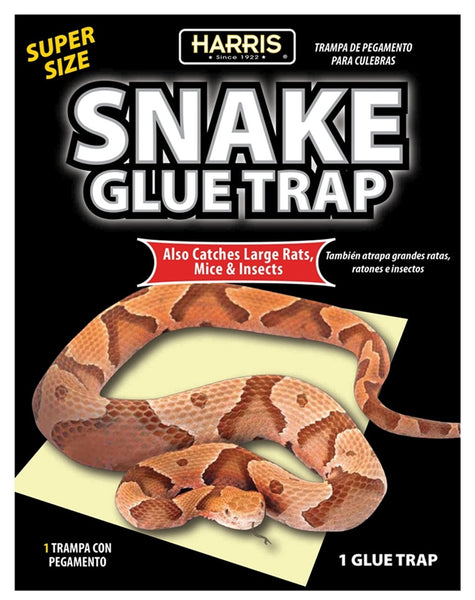 Harris SNAKE-1 Snake Glue Trap, 15.4 in L, 9.9 in W, Glue Board Locking