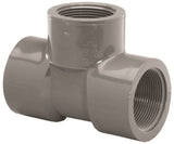 LASCO 805007BC Pipe Tee, 3/4 in, FIP, PVC, SCH 80 Schedule