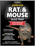 HARRIS BLKRAT-1 Rat and Mouse Glue Trap