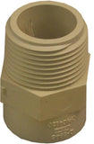 NIBCO T00075C Pipe Adapter, 1 in, Slip x MIP, CPVC