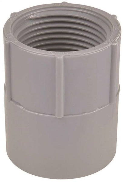 Carlon E942GR-CTN Conduit Adapter, 1-1/4 in FPT x Socket, 1-63/64 in Dia, 2 in L, PVC