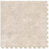 PERFECTION FLOOR TILE ITNS570FS50 Floor Tile, 20 in L Tile, 20 in W Tile, Granite Pattern, Fieldtone
