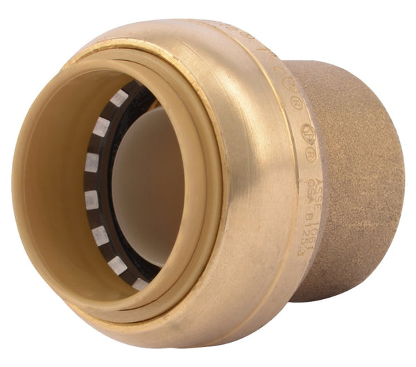 End Cap Push Fit Brass 1in