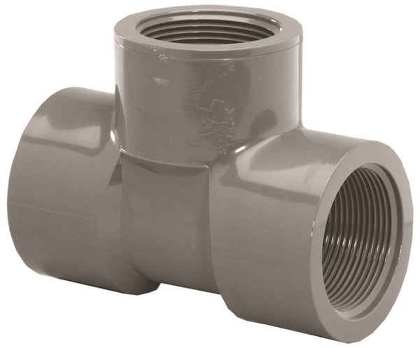 LASCO 805005BC Pipe Tee, 1/2 in, FIP, PVC, SCH 80 Schedule