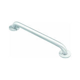 Moen 8718 Grab Bar, 18 in L Bar, 500 lb, Stainless Steel, Screw Mounting