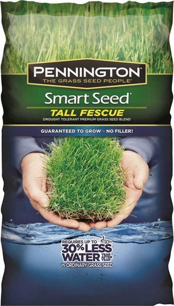 SEED/TALL FESCUE BLEND 20#