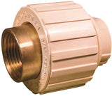 NIBCO M25305L Transition Pipe Union, 3/4 in, Slip x FIP, Brass/CPVC