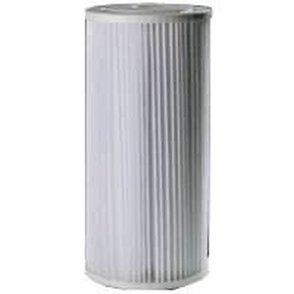 Pentair OMNIFilter Series RS6-SS2-S06 Filter Cartridge, 30 um Filter, Polyester Filter Media, Pleated Paper