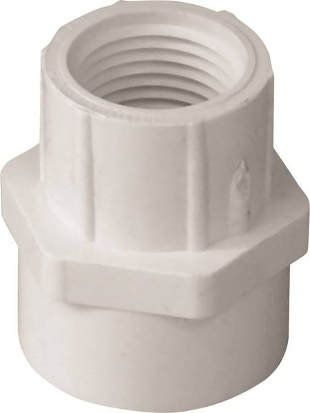 LASCO 435131BC Pipe Adapter, 1 x 3/4 in, Slip x FIP, PVC, SCH 40 Schedule