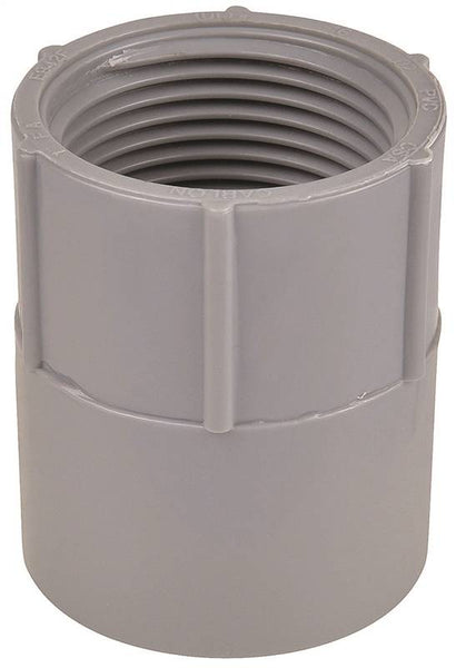 Carlon E942JR Conduit Adapter, 2 in FPT x Socket, 2-47/64 in Dia, 2-5/16 in L, PVC, Gray