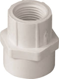 LASCO 435101BC Pipe Adapter, 3/4 x 1/2 in, Slip x FPT, PVC, White, SCH 40 Schedule