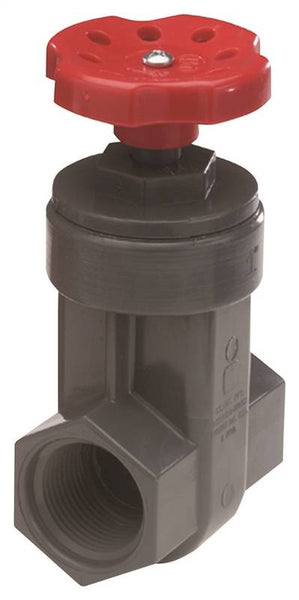 NDS GVG-0500-T Gate Valve, 1/2 in Connection, FIP, 150 psi Pressure, PVC Body