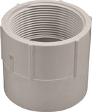 LASCO 435025BC Pipe Adapter, 2-1/2 in, Slip x FIP, PVC, SCH 40 Schedule