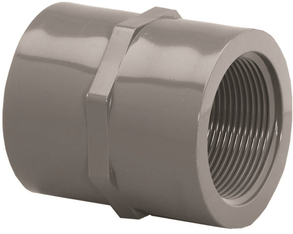 LASCO 830005BC Pipe Coupling, 1/2 in, FIP, PVC, SCH 80 Schedule