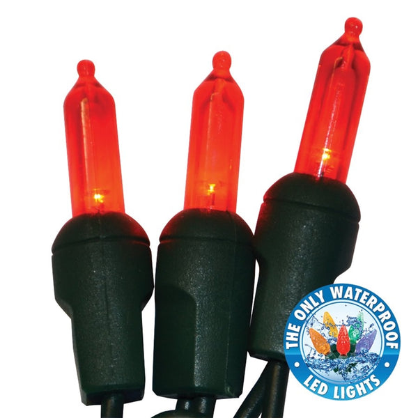 Holiday Bright Lights LEDBX-T550-RD6 Light Set, 50 -Lamp, LED Lamp, Red Lamp, 50000 hr Average Life, 26 ft L