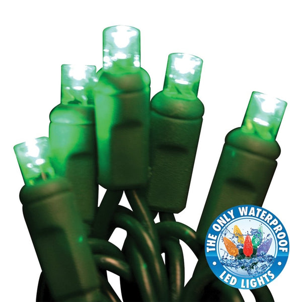 Holiday Bright Lights LEDBX-WA50-GR6 Light Set, 50 -Lamp, LED Lamp, Green Lamp, 50000 hr Average Life, 26 ft L