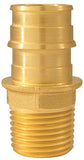 Apollo Valves ExpansionPEX Series EPXMA3412 Pipe Adapter, 3/4 x 1/2 in, Barb x MPT, Brass, 200 psi Pressure